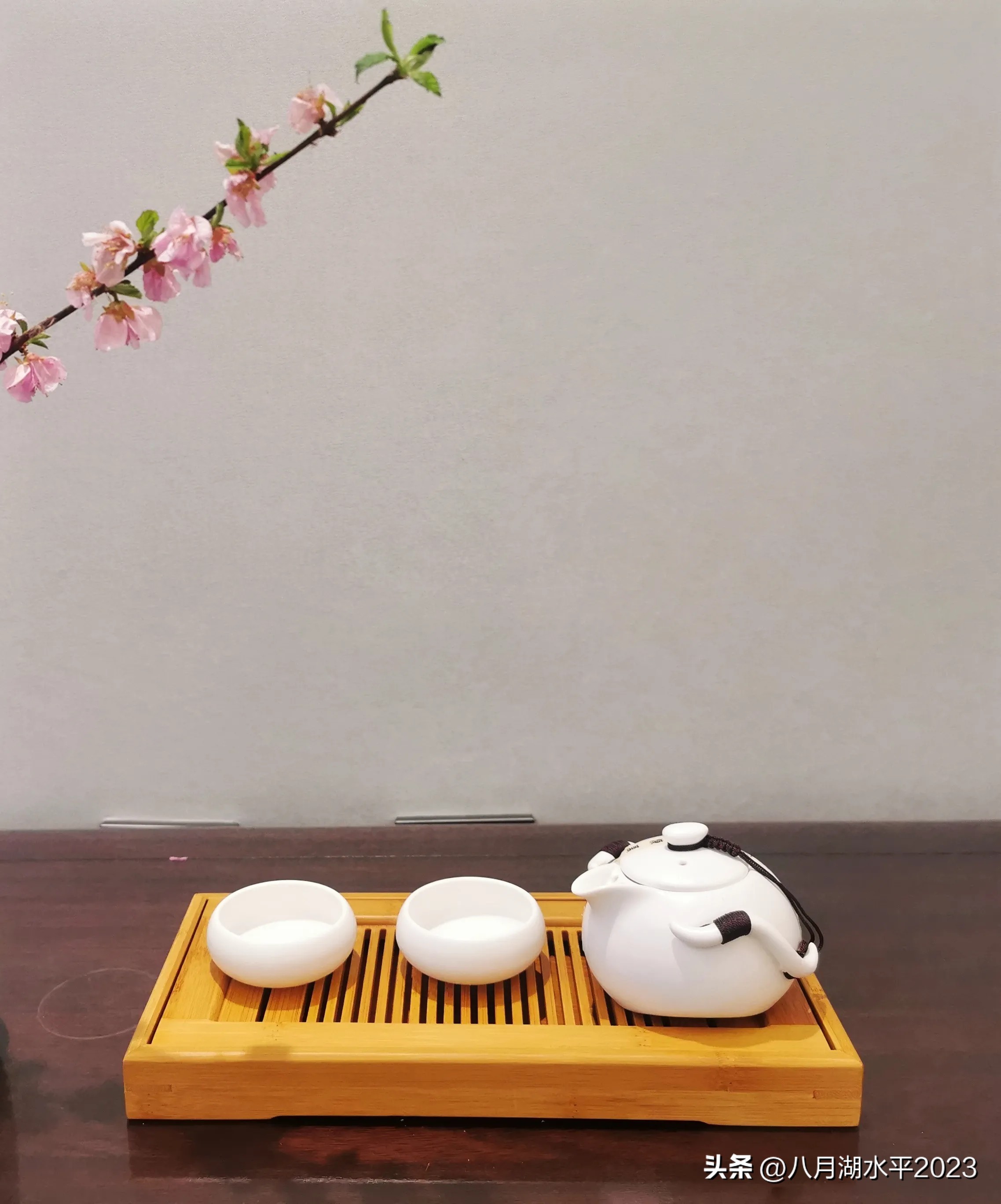 可爱的你俩
